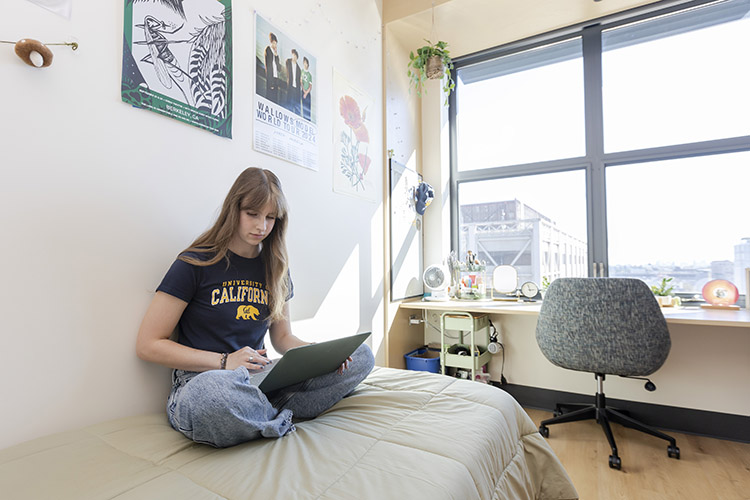 A student sits with a laptop on a bed in a single bedroom. There is a desk and chair positioned underneath the windows of the room.