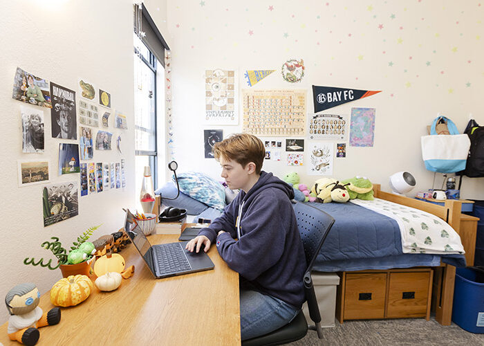 A student sits working on a laptop at a desk. The desk is adjacent to a bed positioned next to the wall.